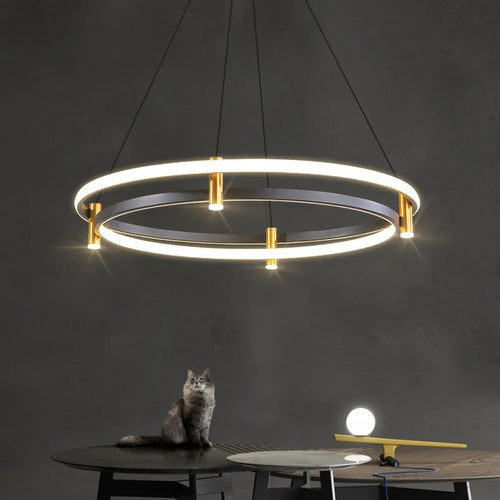 Nordic decorative LED ring chandelier for home - vue 3 sur 7