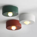 Nordic design ceiling light for original indoor lighting