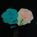 Luminous rose branch gift for Valentine's Day or Mother's Day