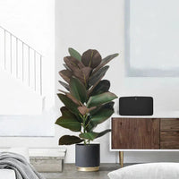 Artificial tropical ficus branches for indoor and outdoor decoration