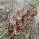 Artificial phalaenopsis decorative orchid for weddings and gardens