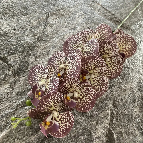 Artificial phalaenopsis decorative orchid for weddings and gardens - vue 24 sur 23