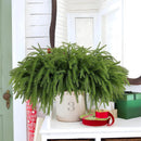 Artificial pine branch for Christmas home decoration
