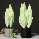 Artificial tropical plant with orchid leaves for indoor decoration