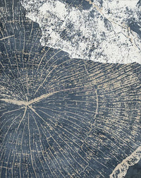Abstract tree rings art posters