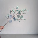 Artificial eucalyptus branch for wedding, garden and party decoration