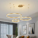 Modern brushed ring LED ceiling light