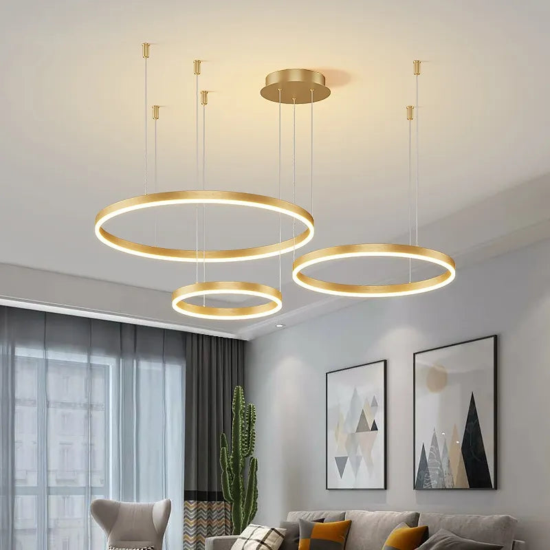Modern brushed ring LED ceiling light