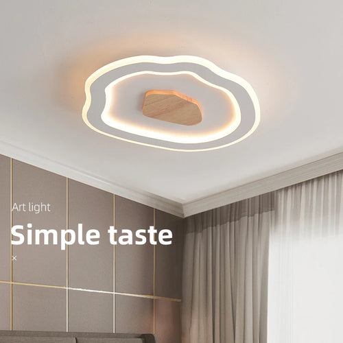 Simple modern Nordic LED ceiling lights
