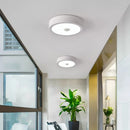 Modern LED ceiling light for home and hotel decor