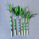 Artificial bamboo plants for indoor and outdoor decoration