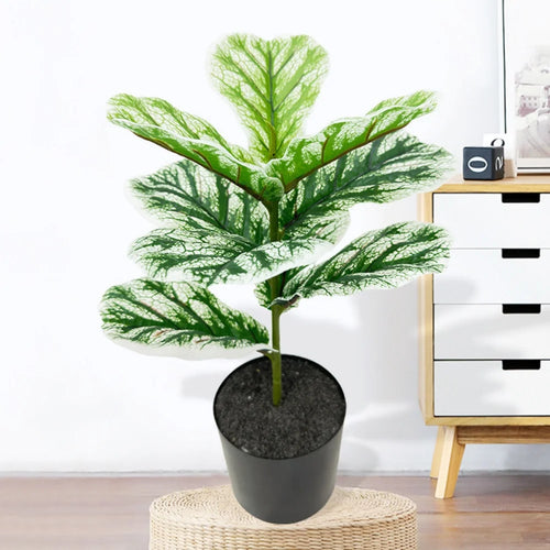 Ficus lyrata decorative artificial plant in pot for indoors - vue 10 sur 11