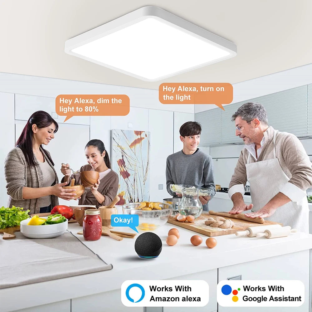 Tuya smart LED ceiling light with app and voice control, Alexa and Google compatible, remote control for living room and bedroom - vue 3 sur 22