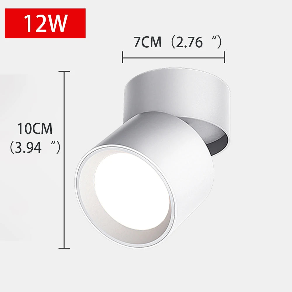 Adjustable outdoor LED spotlight with no-drill installation