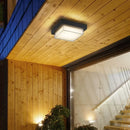 Waterproof ceiling light for garden, courtyard, balcony and outdoor decor