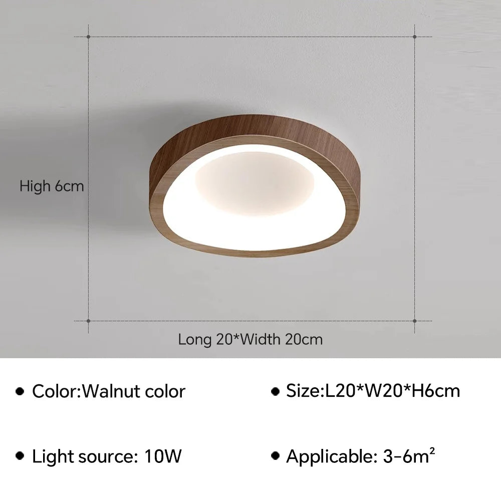 Nordic LED ceiling light for living room