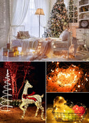 LED string lights with remote control for parties and events