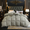 Noble100% Goose Down Duvet Filled Quilt, Single, Double Size Comforter, Thick Blanket, Monochromatic, Perfect Comfort, Winter