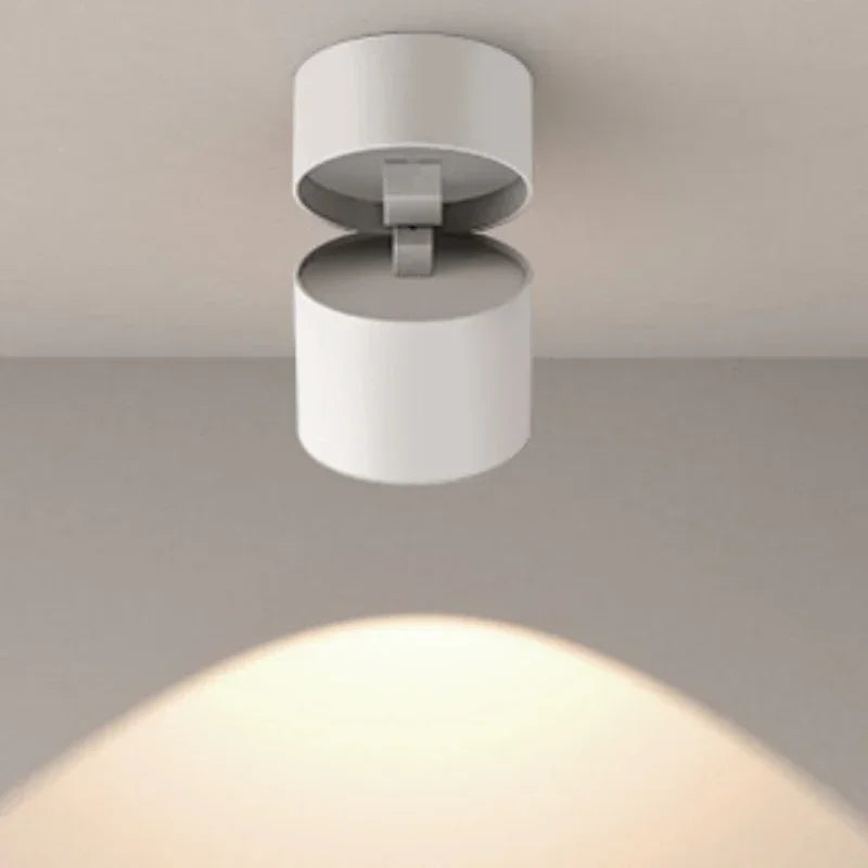 Adjustable outdoor LED spotlight with no-drill installation