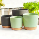 Large circular plastic indoor plant pot with drainage and tray