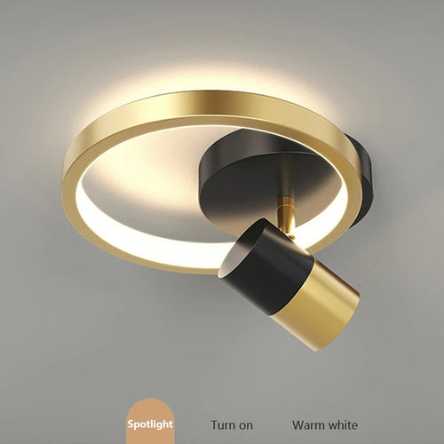 Modern LED ceiling light for elegant interior decoration - vue 7 sur 9
