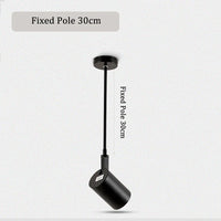 Telescopic ceiling light