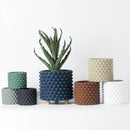 Nordic style retro cement flower pot for home decoration