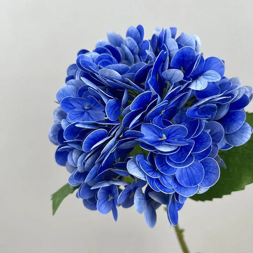 Wedding decoration artificial flowers hydrangeas and red roses - vue 16 sur 15
