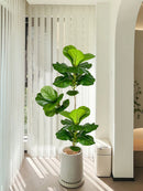 Large artificial ficus tree for indoor and outdoor decoration
