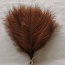 Set of artificial pampas for wedding and party decoration