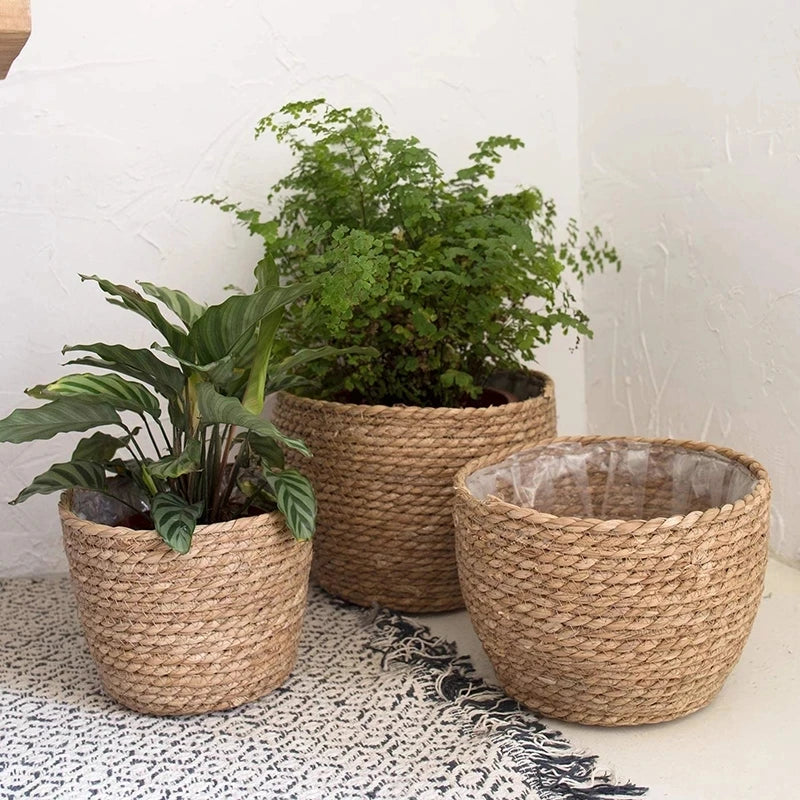 straw basket for indoor and outdoor plants