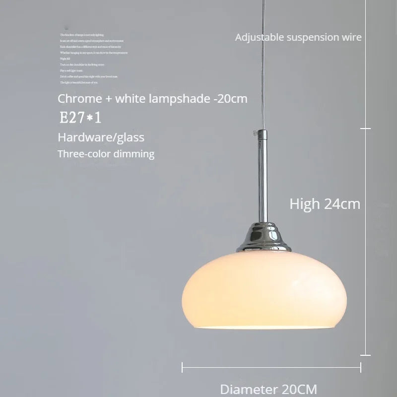 Modern nordic pendant light for interior decoration