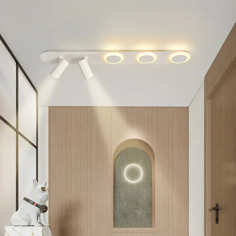 Modern Nordic LED ceiling light for indoor and outdoor decoration