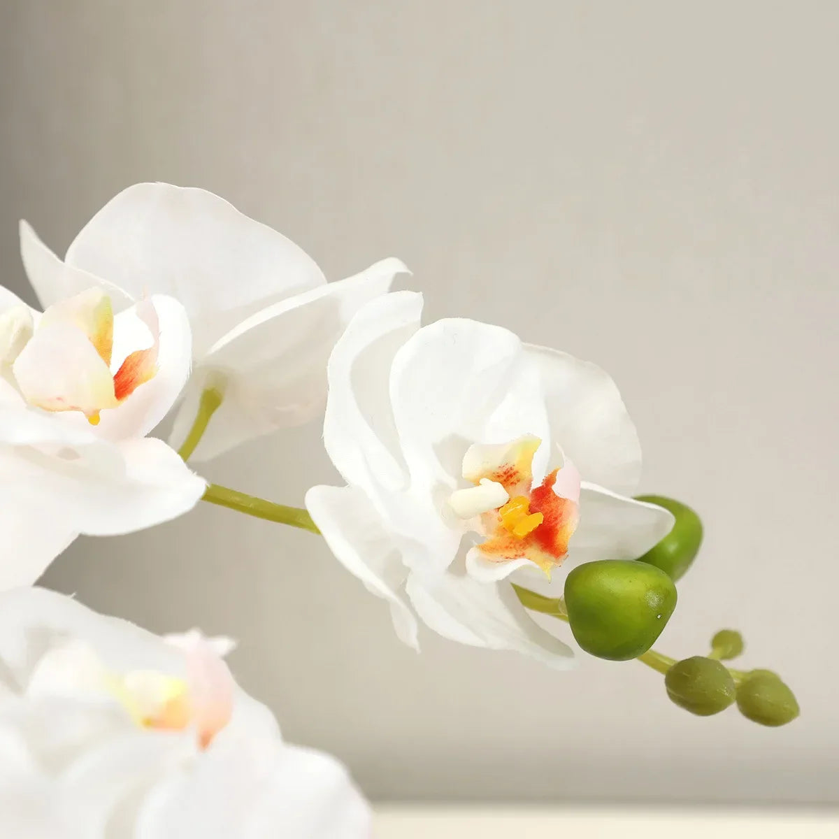 Realistic artificial phalaenopsis flowers for various decorations - vue 6 sur 11