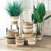 natural wicker basket for garden and decorative storage
