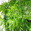 Plastic hanging plants for indoor and outdoor decoration