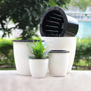 modern self-watering planter for succulents and orchids