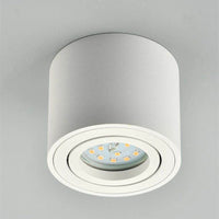Round LED ceiling light with replaceable bulb and adjustable angle