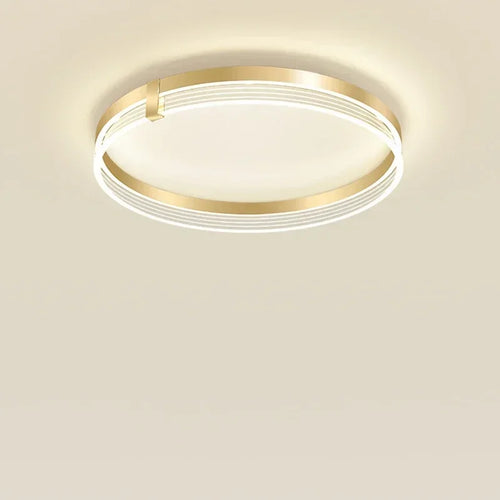 Modern LED chandelier for home decoration
