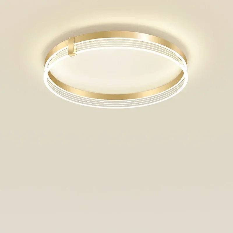 Modern LED chandelier for home decoration
