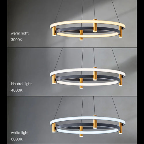 Nordic decorative LED ring chandelier for home - vue 5 sur 7