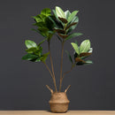 Large artificial magnolia plants for indoor garden decoration
