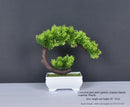 Artificial bonsai plant in plastic for interior decoration