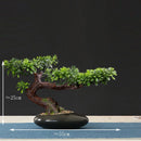 Chinese style artificial bonsai tree for indoor and outdoor decor