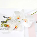 Realistic artificial phalaenopsis flowers for various decorations