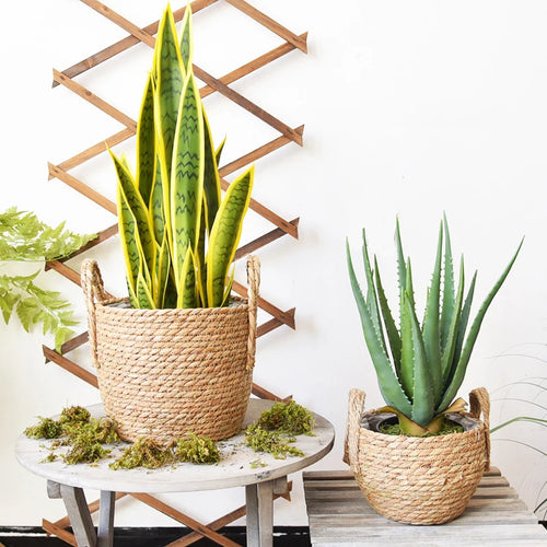 Handmade seagrass storage basket for plants and flowers - vue 3 sur 9