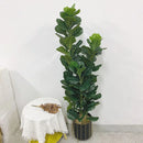 Artificial ficus lyrata plant for indoor and outdoor decoration
