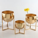 decorative vase for floral arrangements and living rooms
