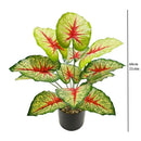 Decorative artificial plants for weddings, parties and office