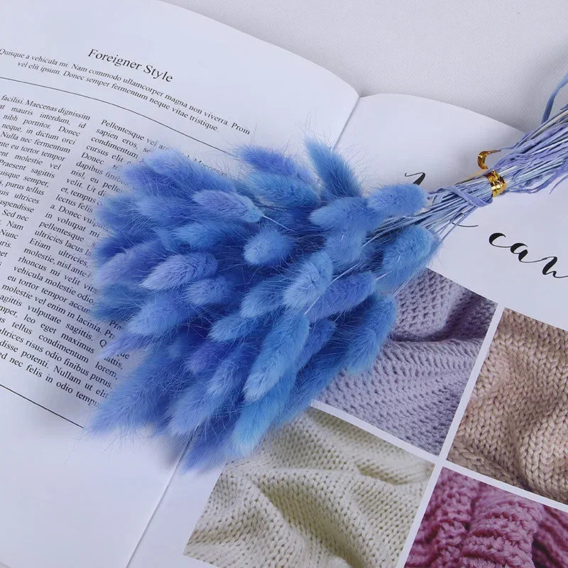 Dried bunny tail grass bouquet for festive decorations - vue 17 sur 23